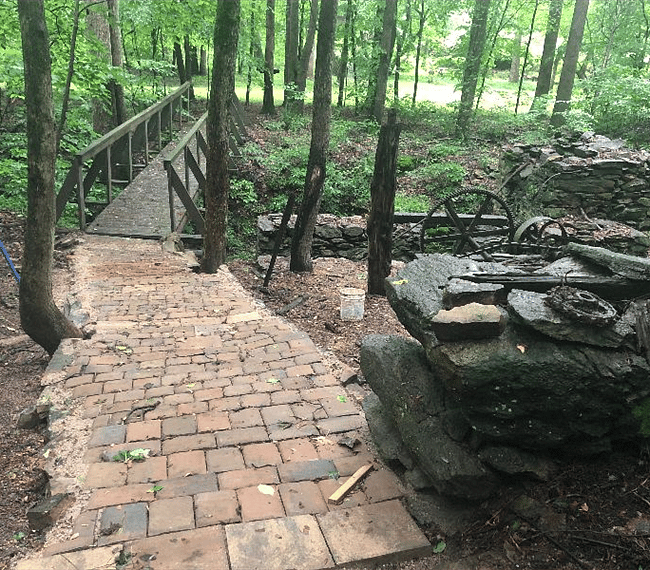 Back yard woodland trail