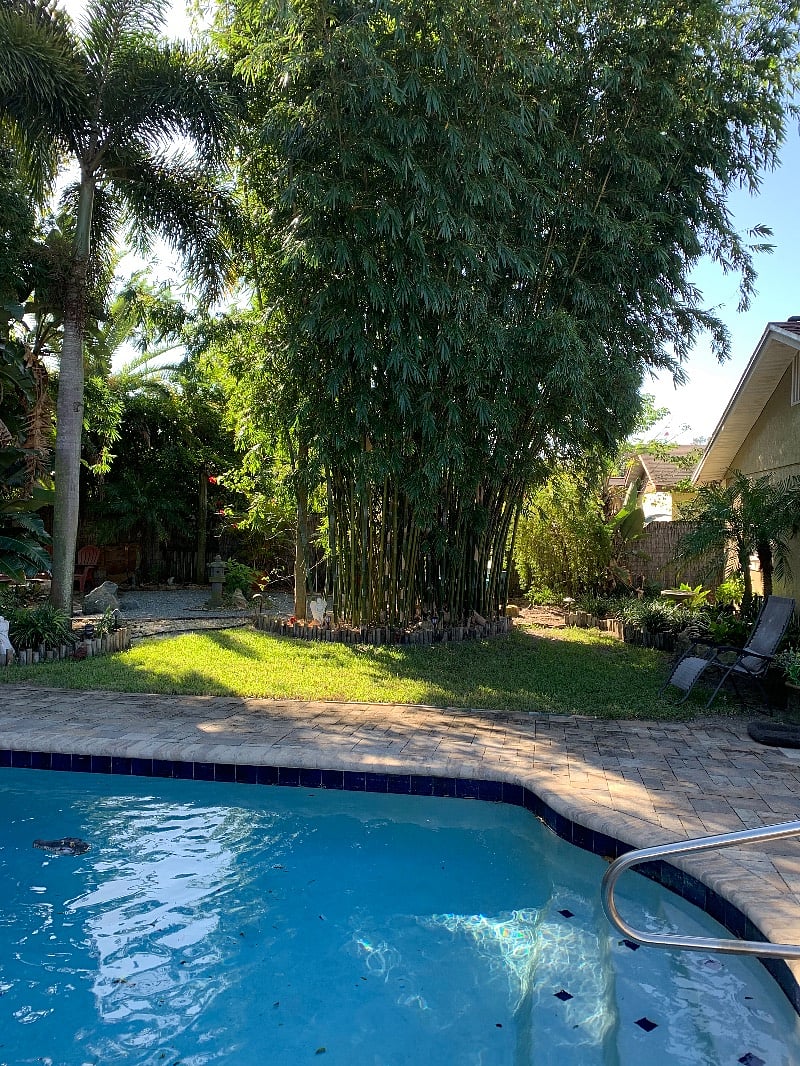 Furnished Finder property 270164_1 photo 5