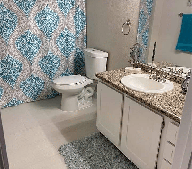 guest bathroom 