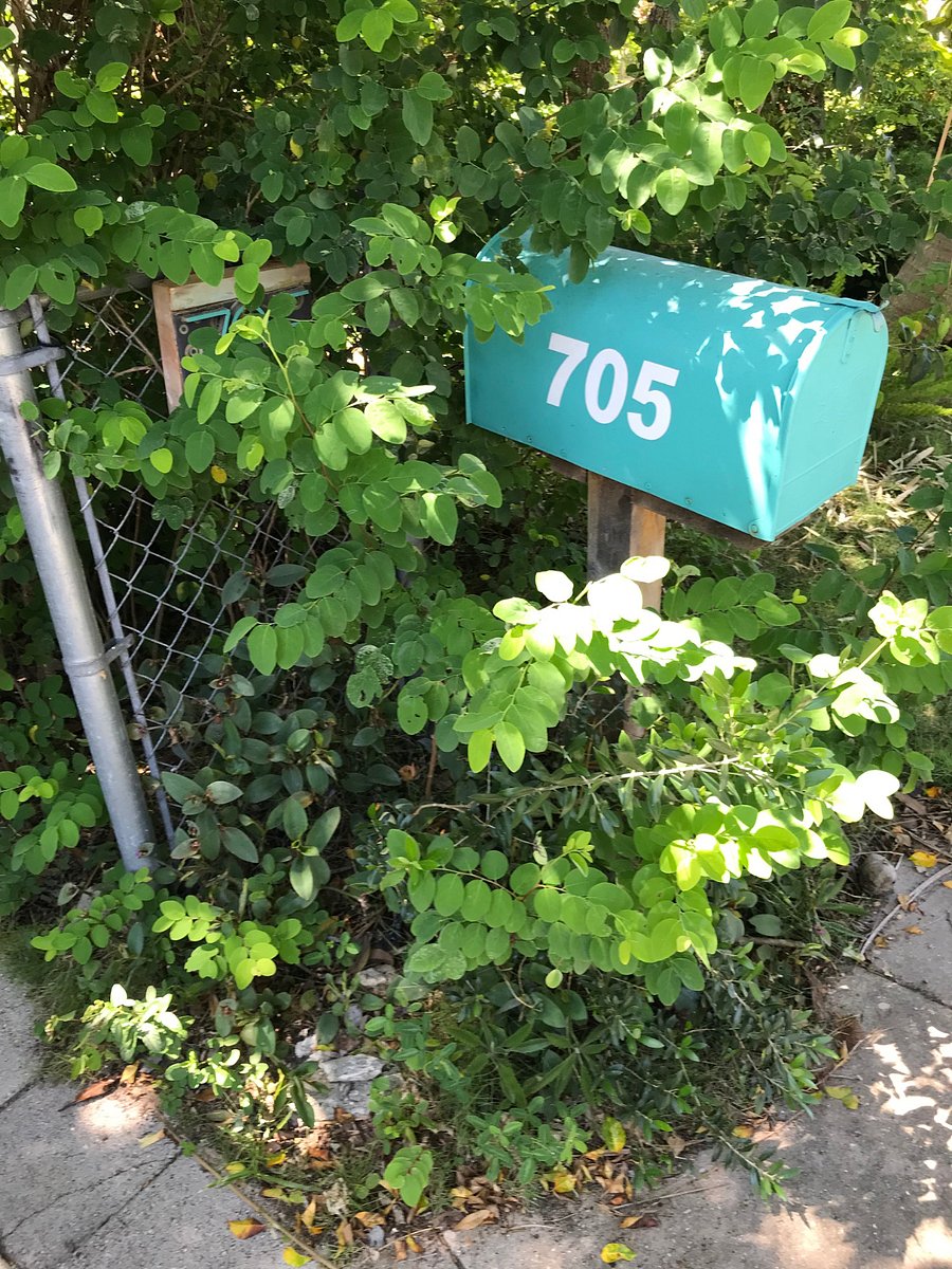 Roadside Mailbox