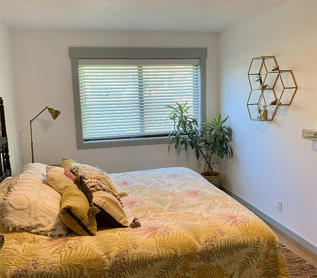 Furnished Finder property 270318_1 photo 20