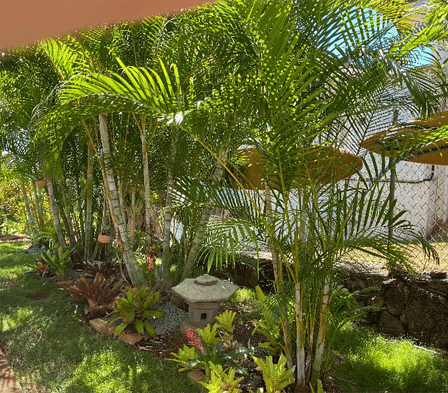 Furnished Finder property 270445_1 photo 14