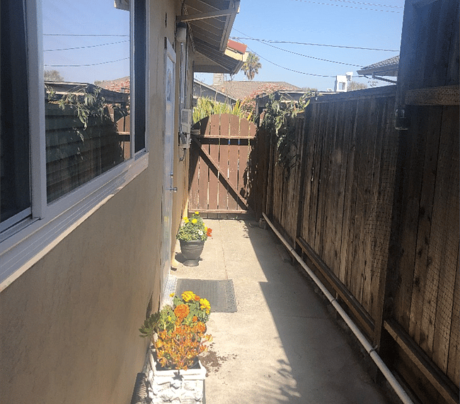 Lovely backyard