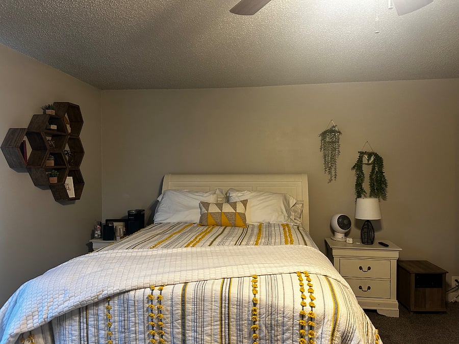Furnished Finder property 270594_1 photo 3