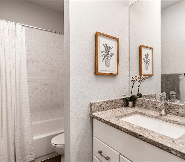 Furnished Finder property 270663_1 photo 39