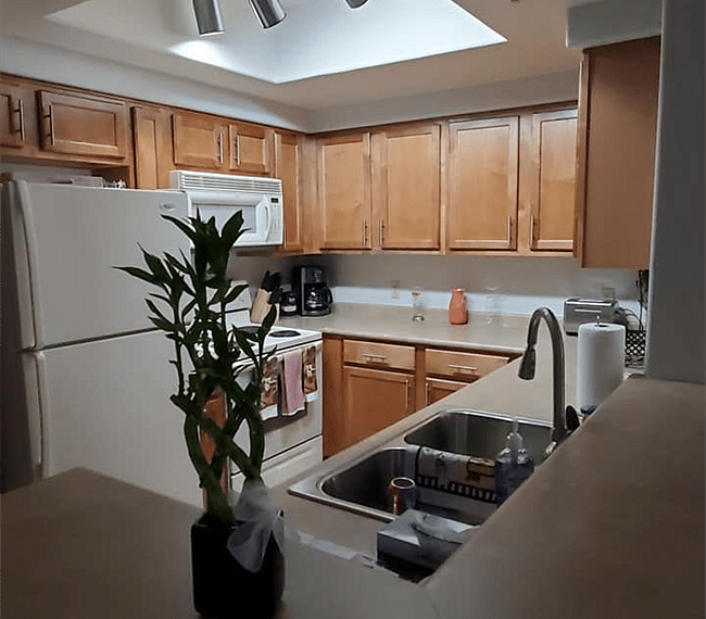 Furnished Finder property 270838_1 photo 5
