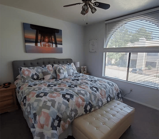 Furnished Finder property 270838_1 photo 13