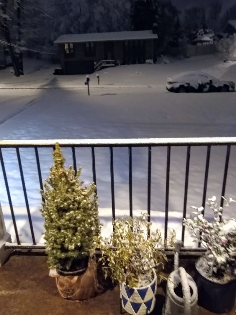 FRONT YARD IN WINTER