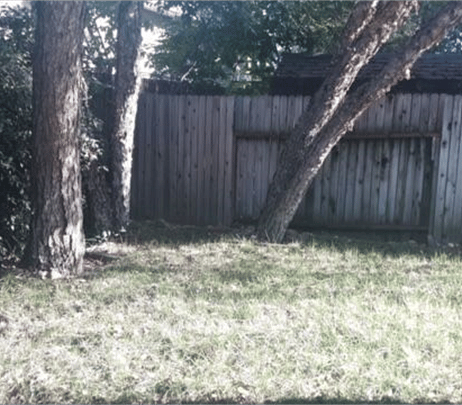 Furnished Finder property 271138_1 photo 9