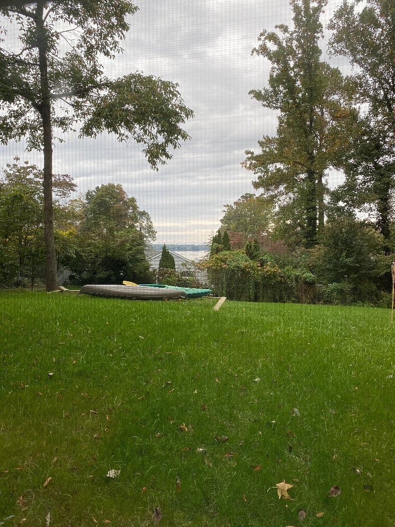 View out of the windows of the South River