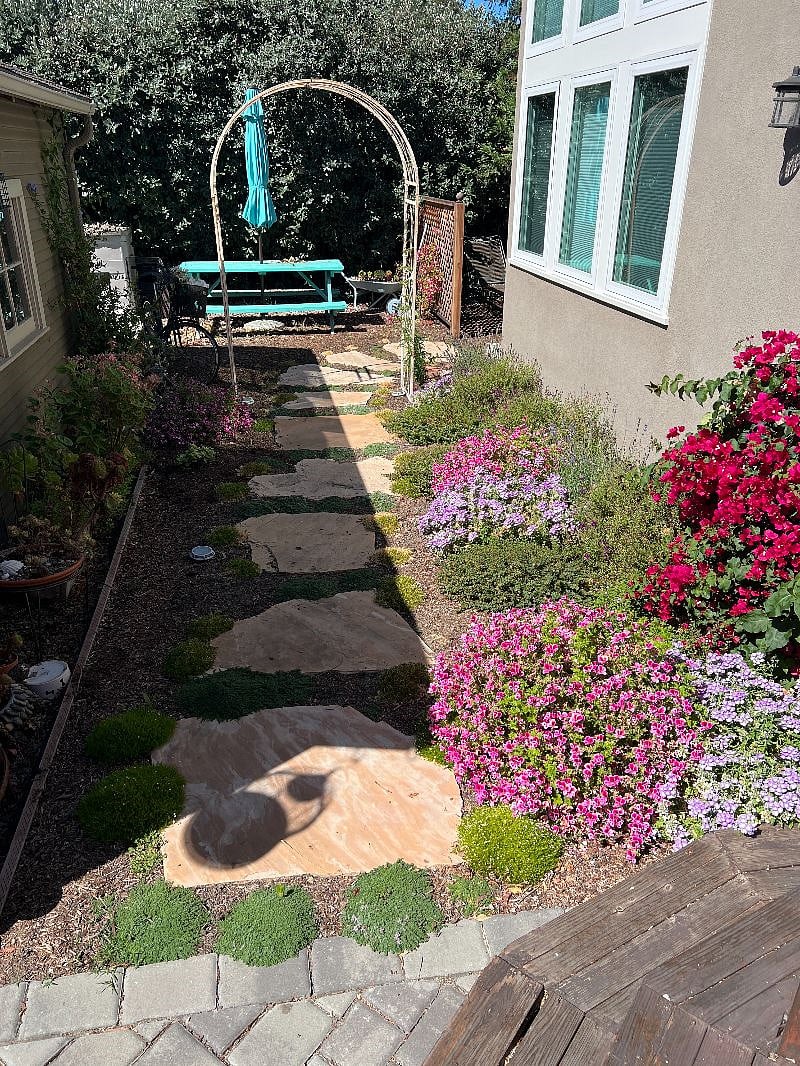 Walkway through the garden