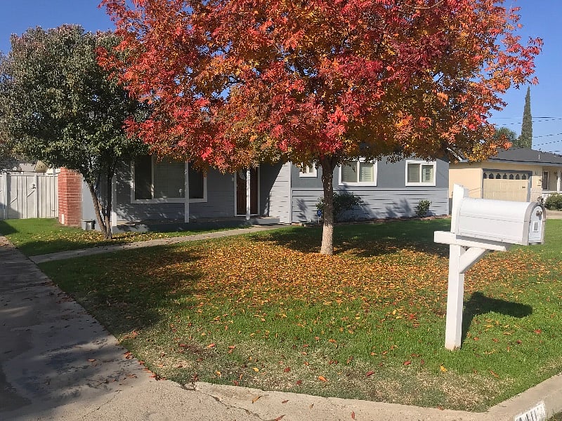 Furnished Finder property 271413_1 photo 95
