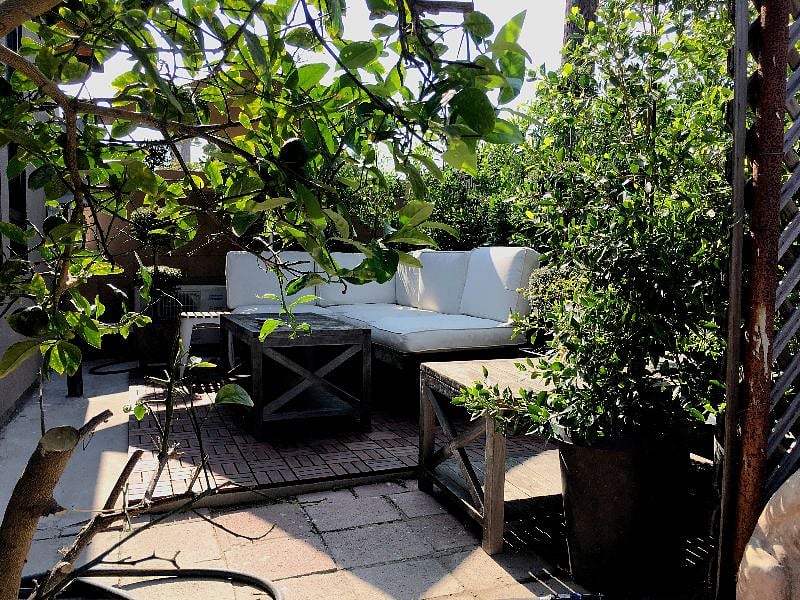 Furnished Finder property 271609_1 photo 49