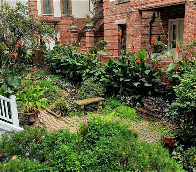 Front steps from Front porch