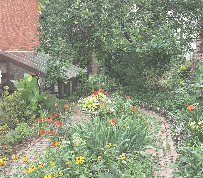 Some backyard, right?