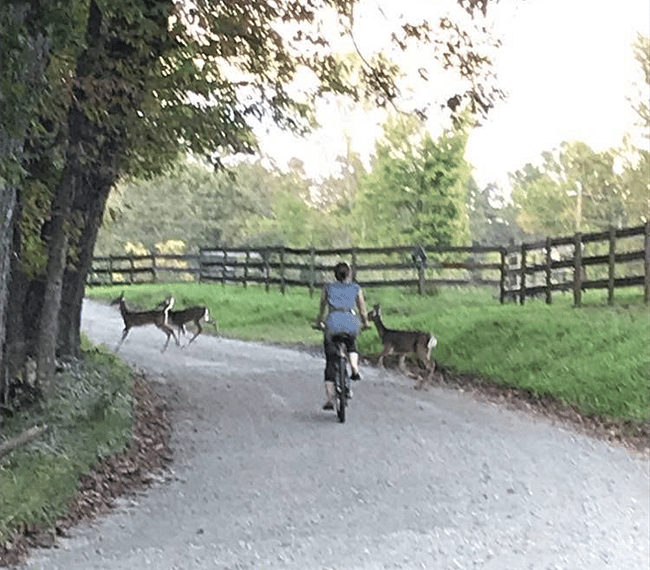 Four miles of secluded gravel roads for walking, running, and biking!