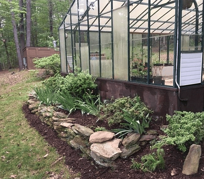 A quiet greenhouse space.