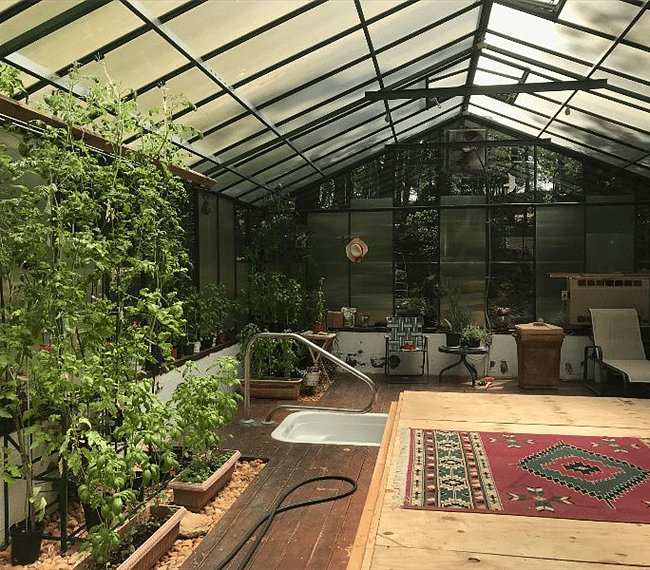 A quiet greenhouse space.