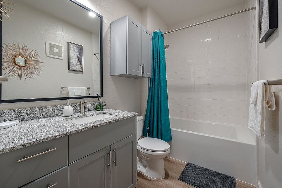 Bathroom Vanity and Bathtub