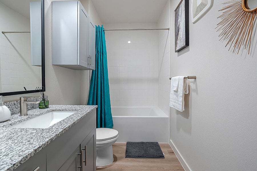 Modern Full Bathroom