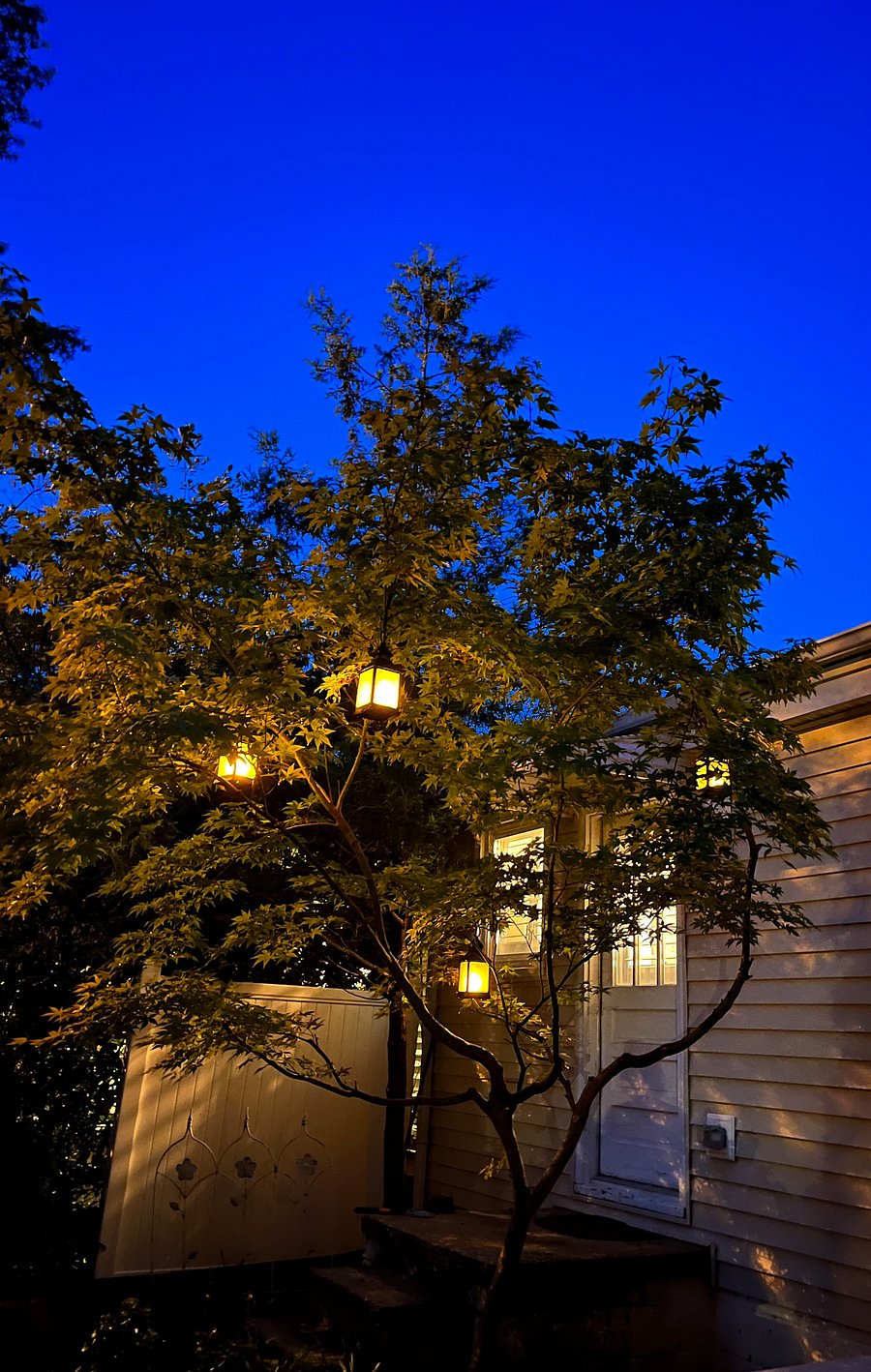 Furnished Finder property 272083_1 photo 19