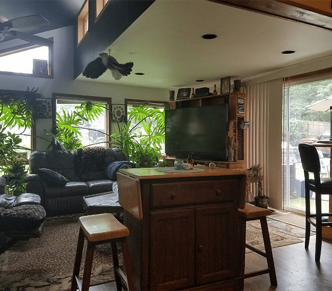 Furnished Finder property 272267_1 photo 14
