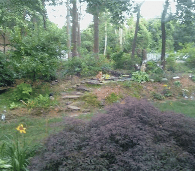 Furnished Finder property 272267_1 photo 33