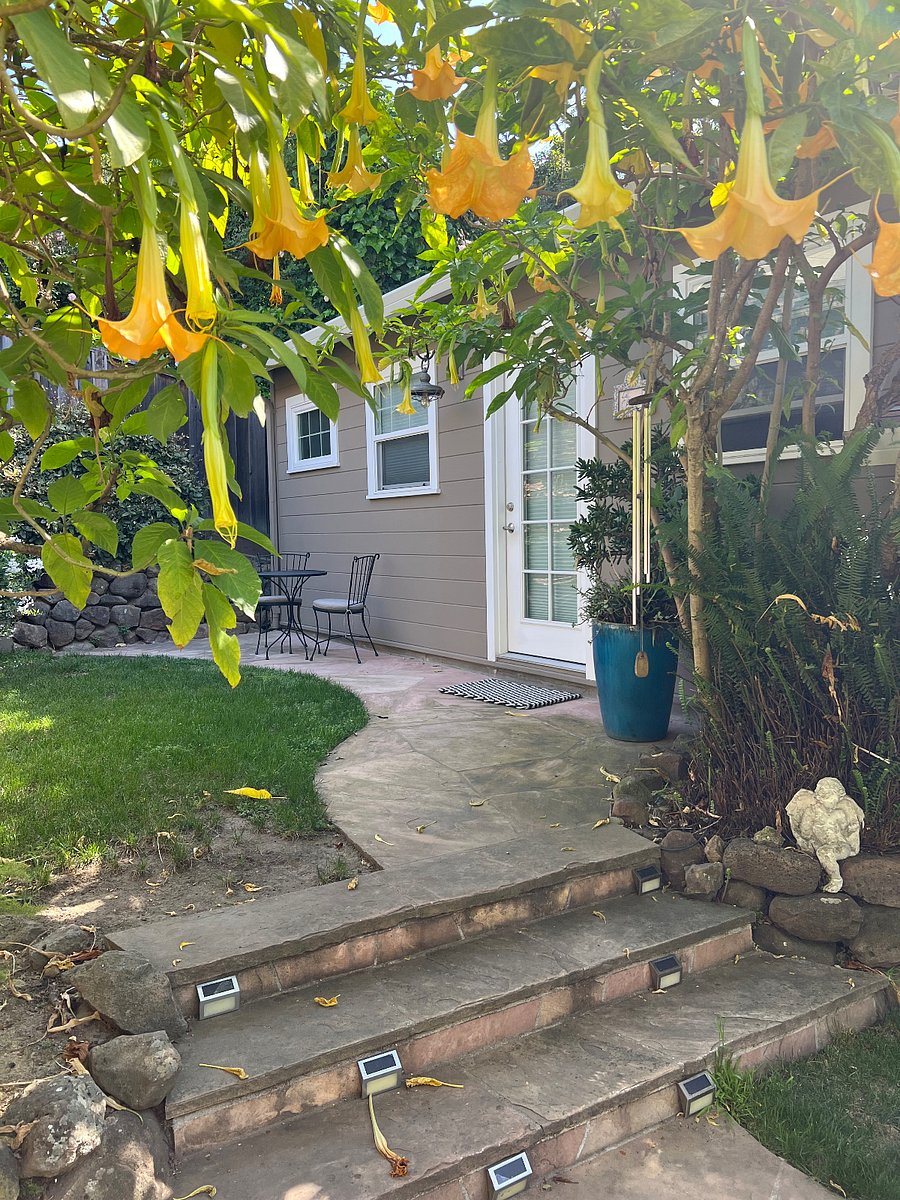 Furnished Finder property 272320_1 photo 10