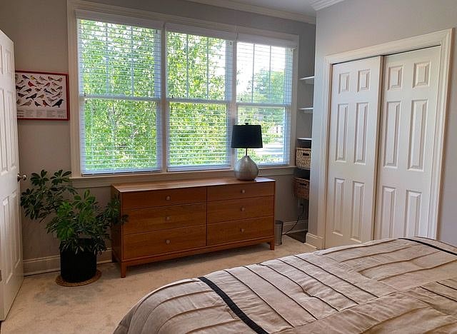 Treetop views and abundant natural light