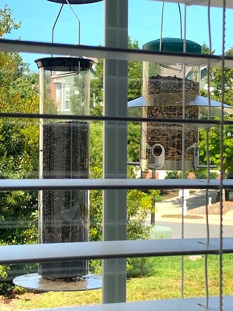 Bird feeders in easy view