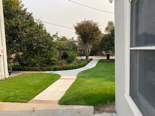 Backyard.