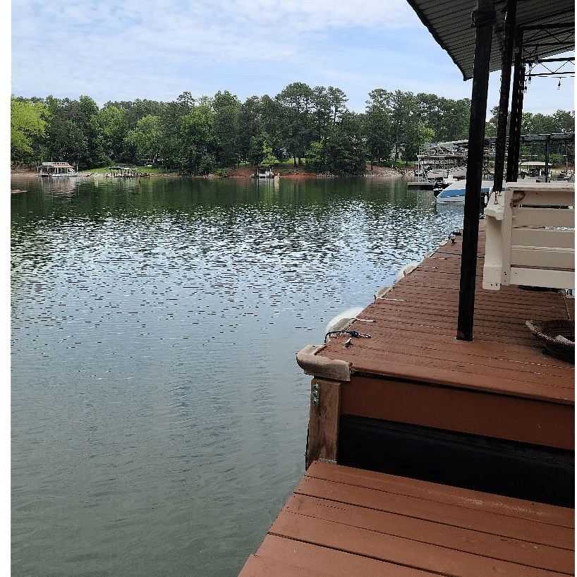 Furnished Finder property 272483_1 photo 20