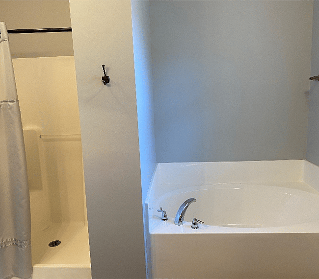 Master shower and tub