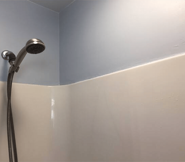 Tub with European Shower Head