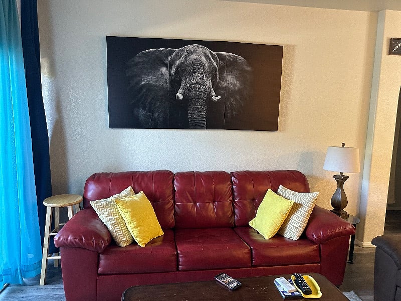sofa