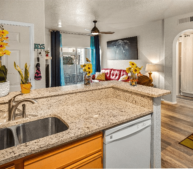 Kitchen and living area