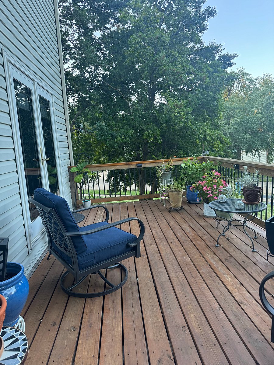 Furnished Finder property 273066_1 photo 11