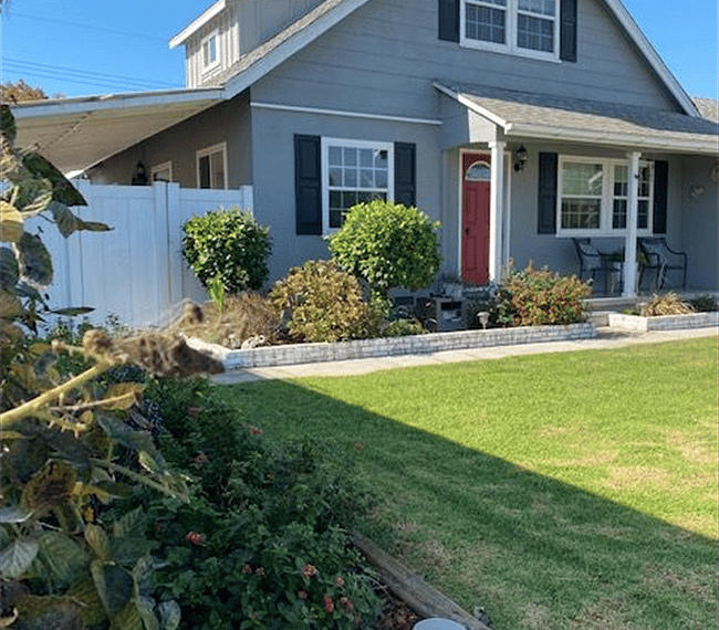 Front yard