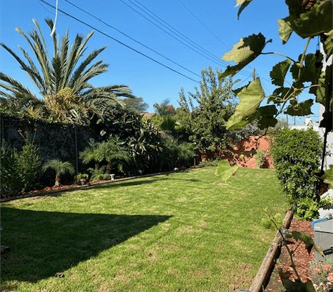 Spacious backyard