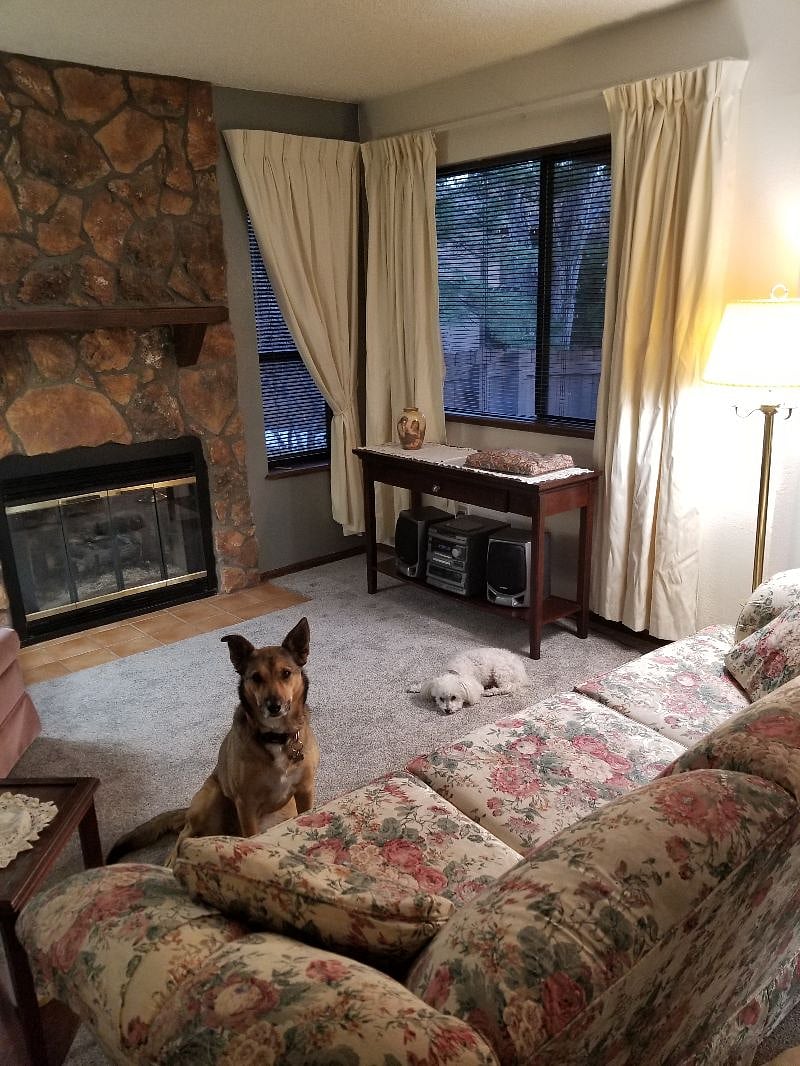 Your pets are welcome, but Roxie and Mikey are not included, sorry!!
