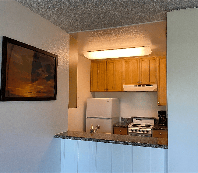 Furnished Finder property 273138_1 photo 10