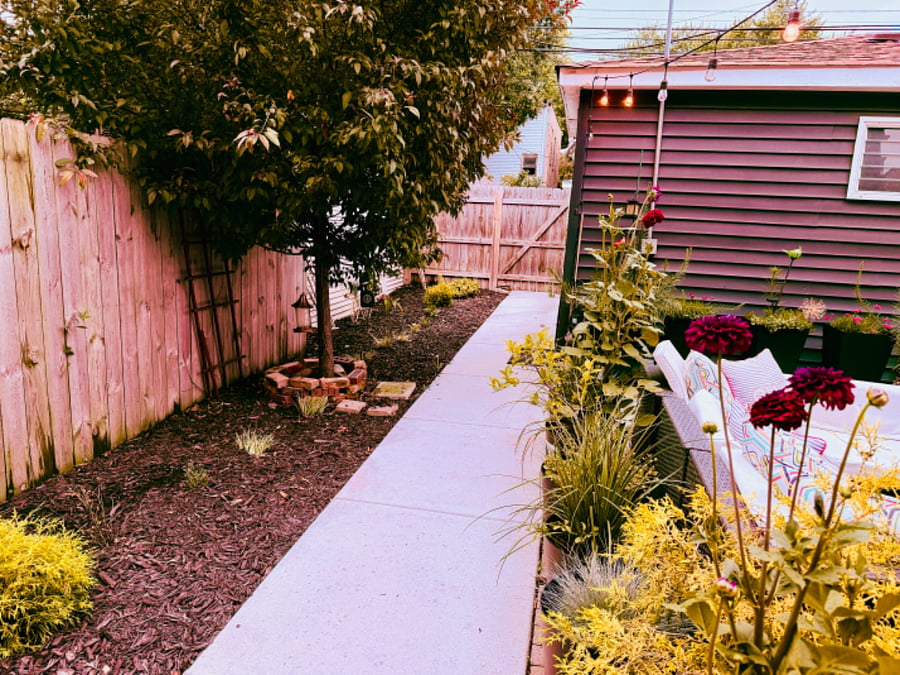 Furnished Finder property 273296_1 photo 31
