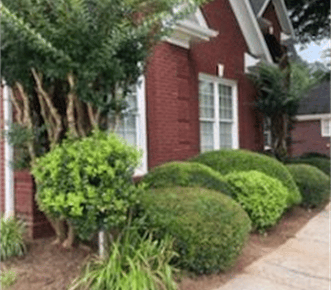 Lovely established gardens surrounding the home
