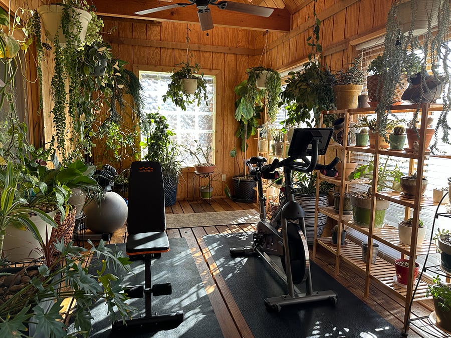 Solarium entryway and gym with countless tropical plants