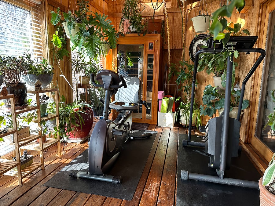 Exercise equipment and 3 person infrared sauna in the large solarium