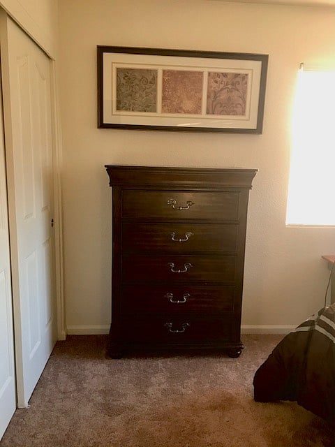 Furnished Finder property 273421_1 photo 13