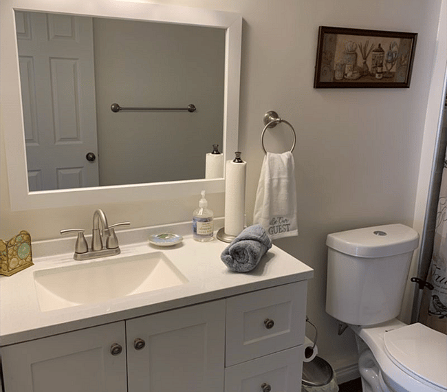 Vanity sink and mirror