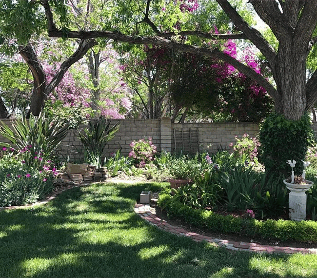 English garden