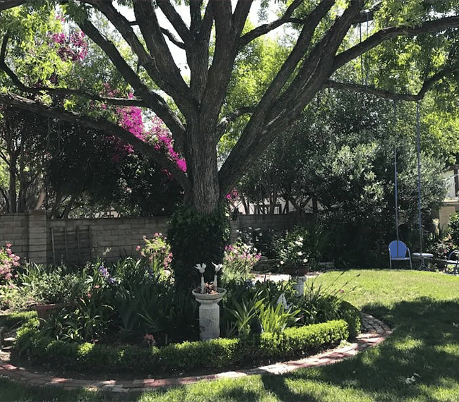English garden