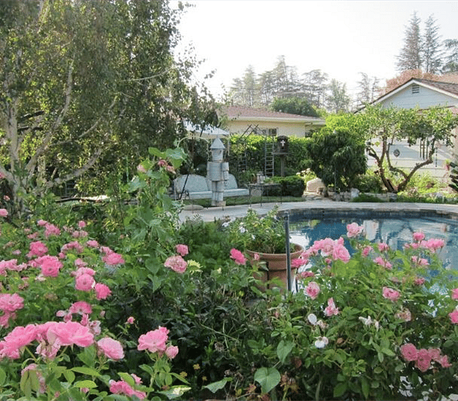 Pool view from room